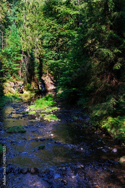 Fototapeta Wild summer Landscape around the Creek with Boulders and Rock in the Czech Switzerland, Czech Republic