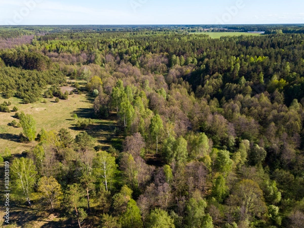 Fototapeta Scenic summer landscape with green mixed woodland in central Russia..