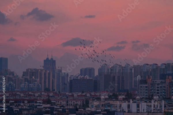 Fototapeta Charming urban night view at dusk