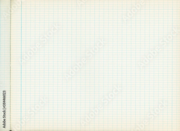 Fototapeta graph paper texture