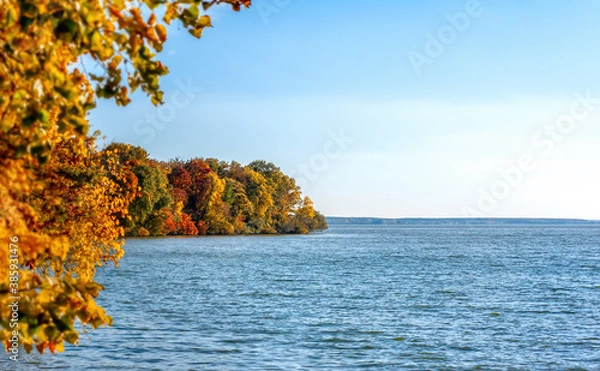 Fototapeta Fall deciduous forest with trees and blue lake. Autumn landscape.