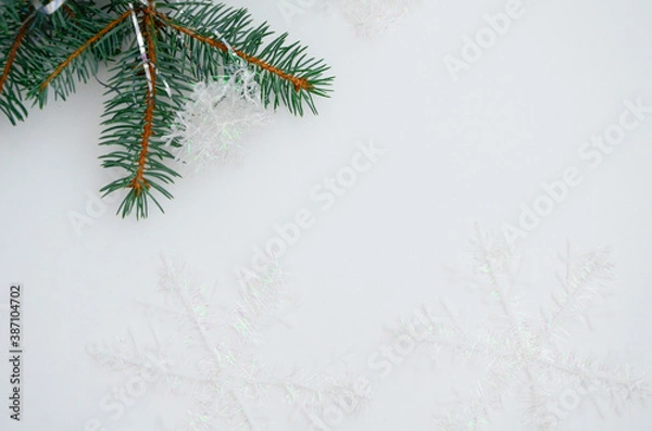 Fototapeta Christmas tree branch with snowflakes on a white background. Christmas background concept.