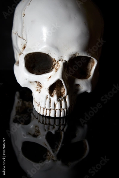 Fototapeta plaster human skull on a black background. Anatomy. coronavirus covid-19. Skull Isolated on black . The concept of health, medicine, epidemic. Dead, coronavirus.