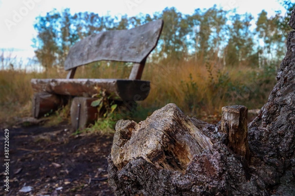 Fototapeta old wheelbarrow