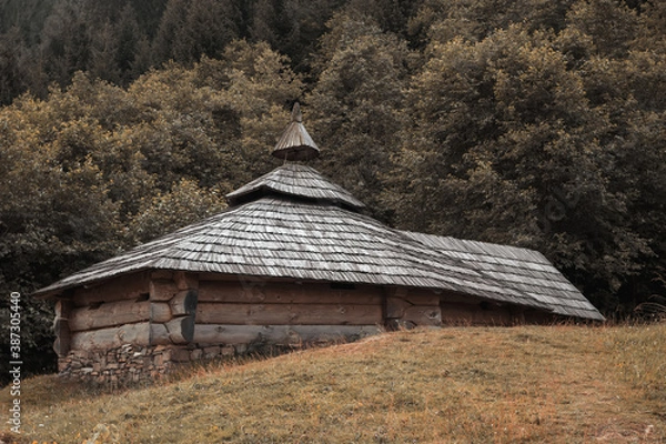 Fototapeta Wooden house under a wooden roof standing on a hill against the background of the forest.