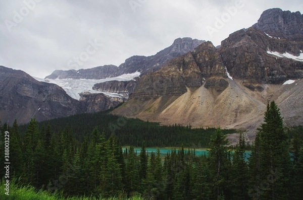 Fototapeta lake louise banff national park