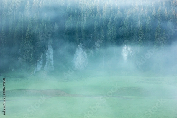 Fototapeta Ponor pasture (Poiana Ponor) from the Apuseni Natural Park, Western Carpathians, Romania
