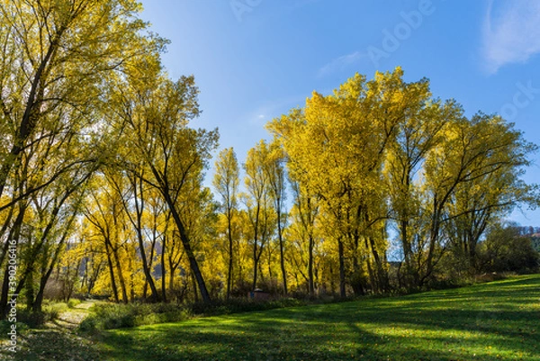 Fototapeta Herbstlandschaft