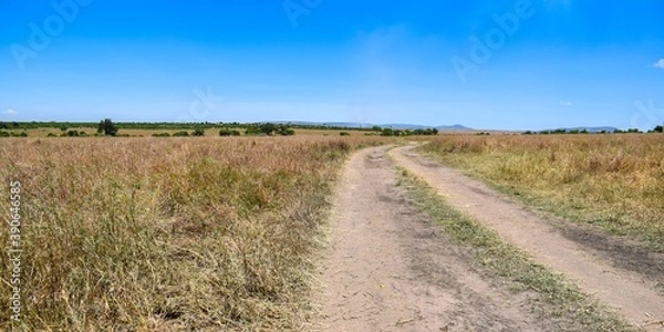 Fototapeta Kenya: landscape of maasai mara park