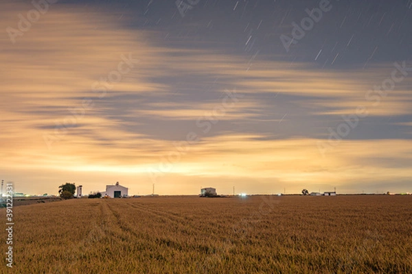 Fototapeta rice field in spain for collection