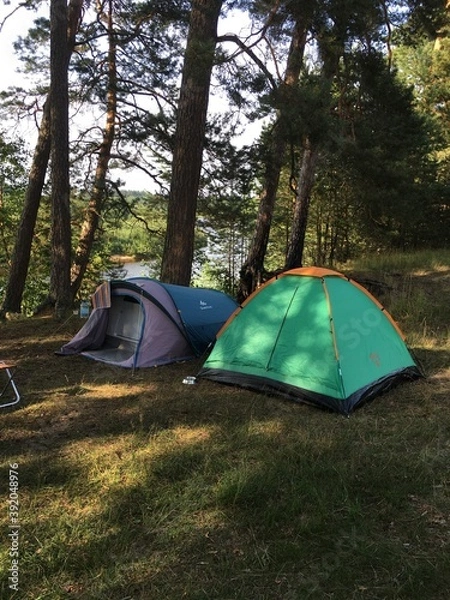 Fototapeta tent in the forest