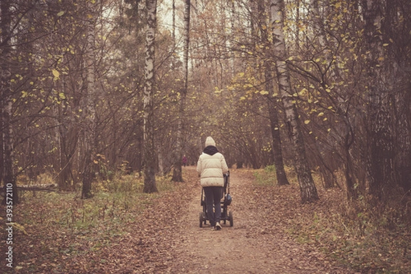 Fototapeta A girl with a stroller walks in the autumn forest