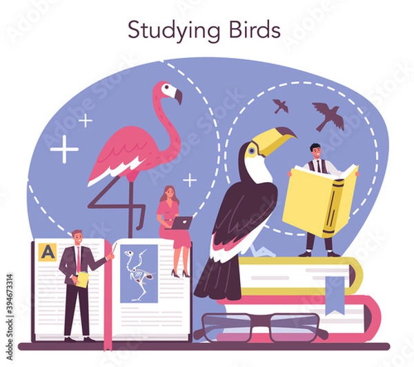 Fototapeta Ornithologist concept. Professional scientist study birds. Zoologist