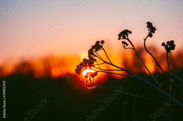 Fototapeta sunset in the mountains