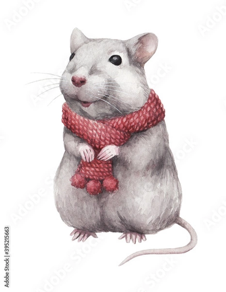 Fototapeta animal sketch for winter and New Year theme cute little gray mouse in a red knitted scarf watercolor drawing