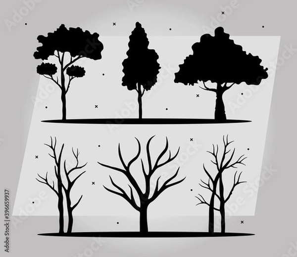 Fototapeta bundle of six trees forest silhouette style icons vector illustration design