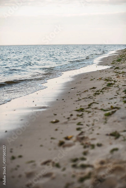 Fototapeta Coast of the Kiev Sea.