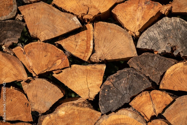 Fototapeta Background. Logs lined up. Raw material. Chopped down pieces of trees