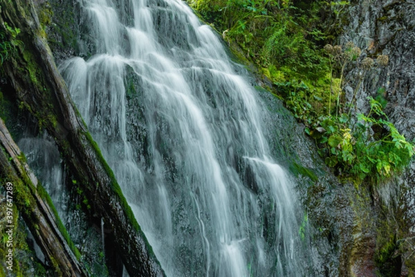 Fototapeta Waterfall among green grass. Mountain stream on mossy boulders in summer rainforest. Alpine cascade of rapid flow