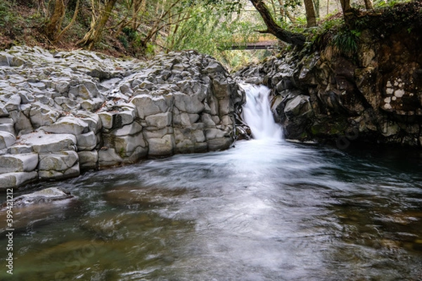 Fototapeta 静岡県伊豆の河津七滝