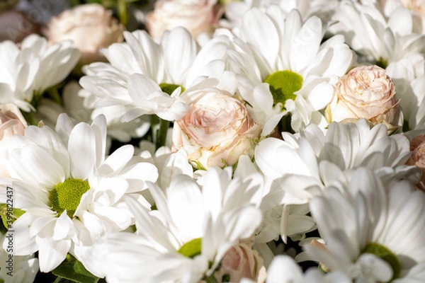 Fototapeta Bouquet of flowers. Flower. Roses and daisies. Petals. Close-up