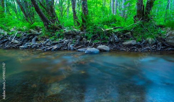 Fototapeta Bayas river, Gorbeia Natural Park, Alava, Basque Country, Spain, Europe