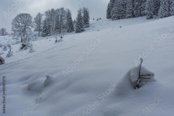 Fototapeta Winter in the Ukrainian Carpathians with beautiful frozen trees and snow