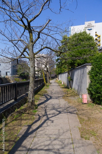 Fototapeta 静岡県伊東市の松川遊歩道