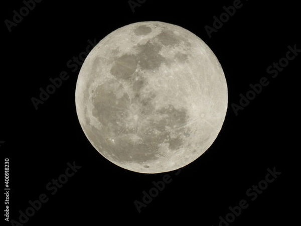 Fototapeta White full moon