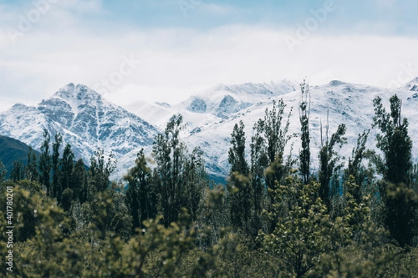 Fototapeta cordillera de los andes llenas de nieve en argentina
