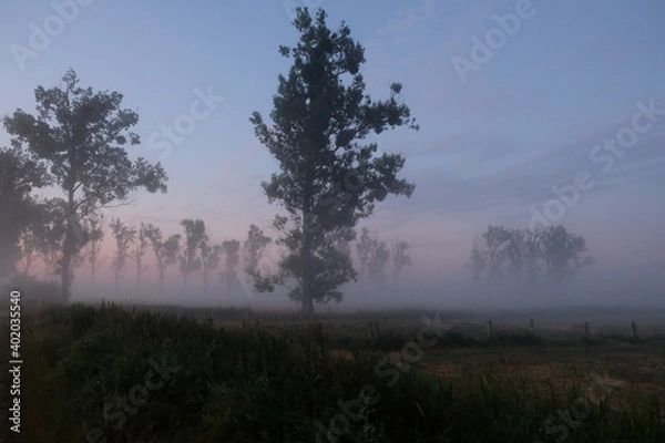 Fototapeta Drömling im Nebel