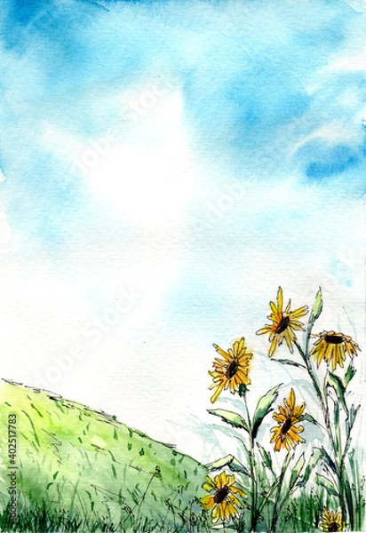 Fototapeta Watercolor illustration of a sunflower meadow on the green hill and with nice blue cloudy sky