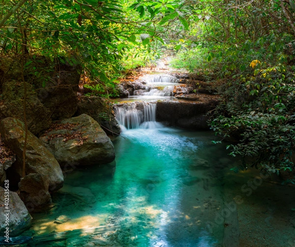 Fototapeta waterfall in the forest