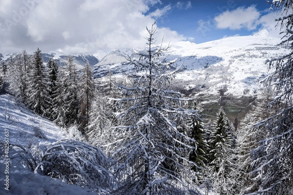 Fototapeta snow covered mountains