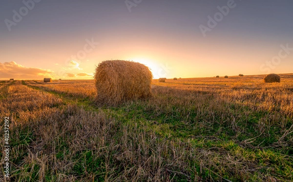 Fototapeta bales in the field at sunset