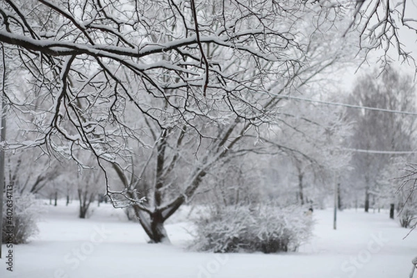 Fototapeta Winter landscape. Forest under the snow. Winter in the park.