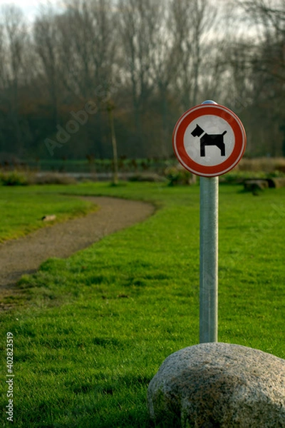 Fototapeta Dog prohibition sign in city park. No dogs allowed.  Dog walking is prohibited.