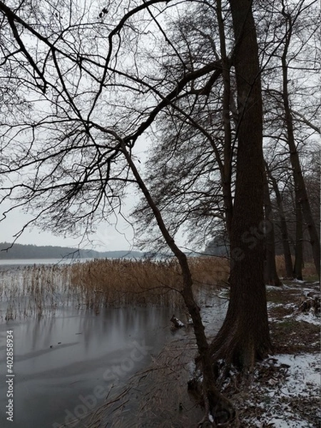 Obraz lake in winter