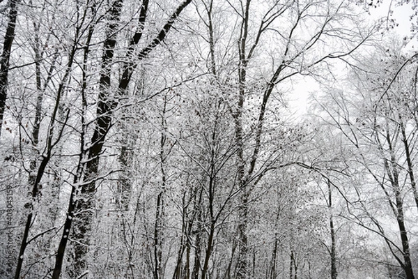 Fototapeta Schneelandschaften