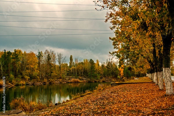 Fototapeta Trees near the river. Autumn landscape