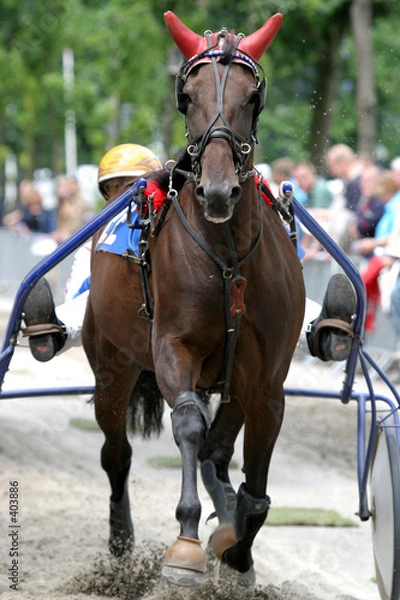 Fototapeta horse racing