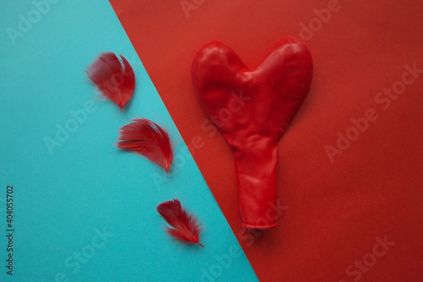 Fototapeta red feathers and red heart on the blue and red background for valentine's day