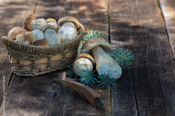 Fototapeta Mushroom  Boletus edulis over Wooden Background, close up on wood rustic table. Cooking delicious organic mushroom. Gourmet food