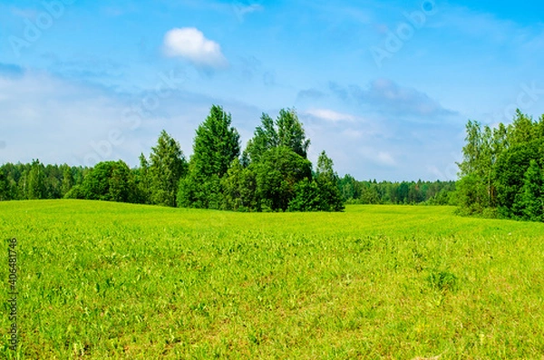 Fototapeta landscape field with hills and forests in summer .