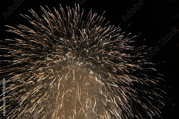 Fototapeta Fuegos artificiales en una noche oscura