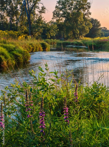 Fototapeta 591-74 Nippersink Creek in Late Summer Light