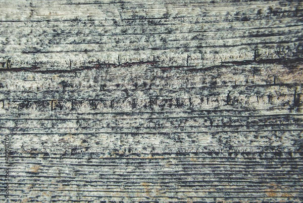 Fototapeta old rustic wood with mold or fungal on top background texture