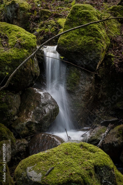 Fototapeta Arraiz Falls