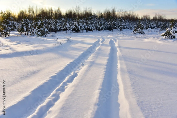 Fototapeta Snowy road in winter forest on sunset background. Awesome winter landscape. A snow-covered path among the trees in the wildlife. Forest in the snow. Tire tracks from a car that ran in the snow