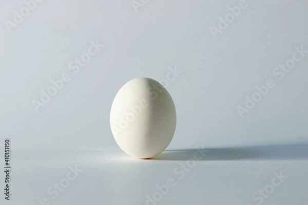 Fototapeta white egg on a white background. creative idea. equilibrium and balance concept.